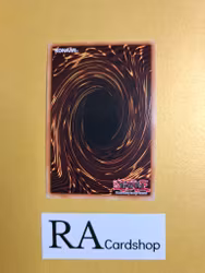 Void Launch LIMITED EDITION ENS13 Eternity SECE Yu-Gi-Oh