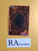 Frightfur Leo 1st EDITION EN041 Crossed Souls CROS Yu-Gi-Oh