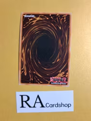 Frightfur Leo 1st EDITION EN041 Crossed Souls CROS Yu-Gi-Oh