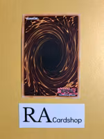 Monster Rebone 1st EDITION EN079 Crossed Souls CROS Yu-Gi-Oh