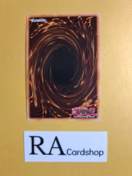 Draghig Malebranche of the Burning Abyss 1st EDITION EN082 Crossed Souls CROS Yu-Gi-Oh