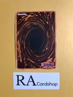 The Terminus of the Burning Abyss 1st EDITION EN085 Crossed Souls CROS Yu-Gi-Oh