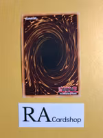 Powerful Rebirth 1st EDITION EN093 Crossed Souls CROS Yu-Gi-Oh