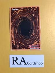 Dragunity Knight - Gormfaobhar 1st EDITION EN045 Blazing Vortex BLVO Yu-Gi-Oh