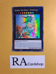 Sacred Tree Beast Hyperyton 1st EDITION EN047 Blazing Vortex BLVO Yu-Gi-Oh