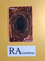 War Rock Gactos 1st EDITION EN094 Blazing Vortex BLVO Yu-Gi-Oh