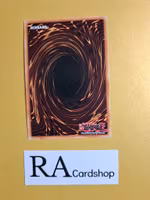 Virtual World Oto-Hime - Toutou 1st EDITION EN099 Blazing Vortex BLVO Yu-Gi-Oh