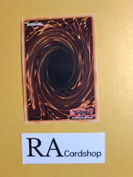 Virtual World Oto-Hime - Toutou 1st EDITION EN099 Blazing Vortex BLVO Yu-Gi-Oh