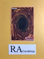 Pendulum Storm EN057 Breakers of Shadow BOSH Yu-Gi-Oh