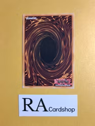 Pendulum Storm EN057 Breakers of Shadow BOSH Yu-Gi-Oh