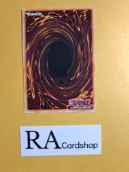 Magical Contract Door 1st EDITION ENS20 The Dark Side of Dimensions Movie Pack MVP1 Yu-Gi-Oh