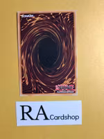 Final Geas 1st EDITION ENS29 The Dark Side of Dimensions Movie Pack MVP1 Yu-Gi-Oh