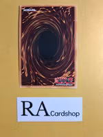 Fairy Tail Tales 1st Edition EN010 Ghosts From the Past GFTP Yu-Gi-Oh