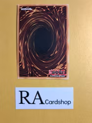 Fairy Tail Tales 1st Edition EN010 Ghosts From the Past GFTP Yu-Gi-Oh