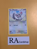 Minccino Common 87/124 Fates Collide Pokemon