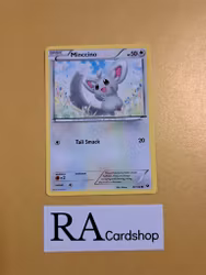 Minccino Common 87/124 Fates Collide Pokemon