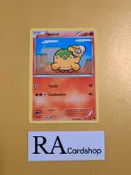 Numel Common 12/122 Break Point Pokemon