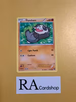 Pancham Common 71/122 Break Point Pokemon