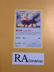 Herdier Rare 104/149 Sun & Moon Pokemon