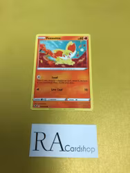 Fennekin Common 025/195 Silver Tempest Pokemon