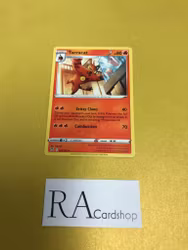 Torracat Uncommon 031/195 Silver Tempest Pokemon