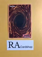 Starry Knight Blast 1st Edition EN035 Ghosts From the Past GFTP Yu-Gi-Oh