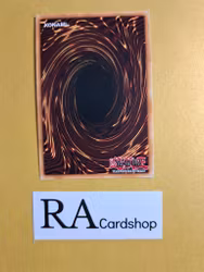 Starry Knight Flamel 1st Edition EN030 Ghosts From the Past GFTP Yu-Gi-Oh