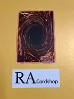 Dragunity Oubliette 1st Edition EN042 Ghosts From the Past GFTP Yu-Gi-Oh
