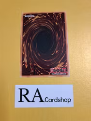 Hieratic Dragon of Eset 1st Edition EN049 Ghosts From the Past GFTP Yu-Gi-Oh