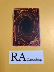 Hieratic Dragon of Tefnuit 1st Edition EN050 Ghosts From the Past GFTP Yu-Gi-Oh