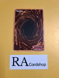 Hieratic Seal of Supremacy 1st Edition EN055 Ghosts From the Past GFTP Yu-Gi-Oh