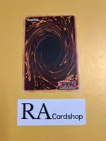 Hieratic Seal of Convocation 1st Edition EN054 Ghosts From the Past GFTP Yu-Gi-Oh