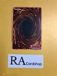 Hieratic Seal of Banishment 1st Edition EN056 Ghosts From the Past GFTP Yu-Gi-Oh