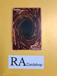 Hieratic Seal of Reflection 1st Edition EN057 Ghosts From the Past GFTP Yu-Gi-Oh