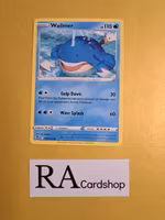 Wailmer Common 037/195 Silver Tempest Pokemon