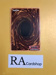 Time Thief Startup 1st Edition EN067 Ghosts From the Past GFTP Yu-Gi-Oh