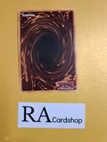 Gigantes 1st Edition EN074 Ghosts From the Past GFTP Yu-Gi-Oh