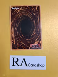 Gigantes 1st Edition EN074 Ghosts From the Past GFTP Yu-Gi-Oh