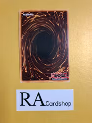 Mist Valley Baby Roc 1st Edition EN076 Ghosts From the Past GFTP Yu-Gi-Oh