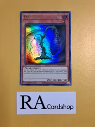 Evil Thorn 1st Edition EN077 Ghosts From the Past GFTP Yu-Gi-Oh