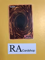 Evil Thorn 1st Edition EN077 Ghosts From the Past GFTP Yu-Gi-Oh