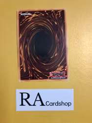 Evil Thorn 1st Edition EN077 Ghosts From the Past GFTP Yu-Gi-Oh