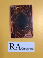 Mine Mole 1st Edition EN078 Ghosts From the Past GFTP Yu-Gi-Oh