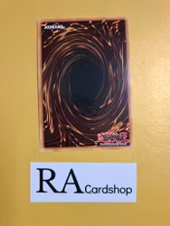 Mine Mole 1st Edition EN078 Ghosts From the Past GFTP Yu-Gi-Oh