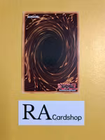 Tackle Crusader 1st Edition EN081 Ghosts From the Past GFTP Yu-Gi-Oh