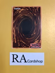 Tackle Crusader 1st Edition EN081 Ghosts From the Past GFTP Yu-Gi-Oh