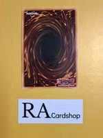 Re-Cover 1st Edition EN083 Ghosts From the Past GFTP Yu-Gi-Oh