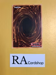 Re-Cover 1st Edition EN083 Ghosts From the Past GFTP Yu-Gi-Oh