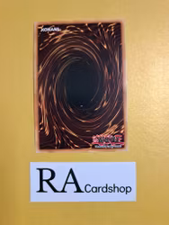 Salamangreat Fowl 1st Edition EN092 Ghosts From the Past GFTP Yu-Gi-Oh