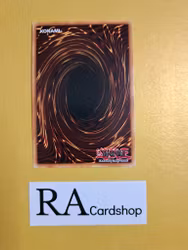 Metalfoes Goldriver 1st Edition EN102 Ghosts From the Past GFTP Yu-Gi-Oh